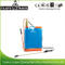 Brass Pump Knapsack Sprayer Hand Sprayer (PJH-16)