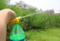 Plant Mate Brand to and Fro Sprayer for Agriculture /Home/Garden (TF-501)